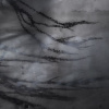Daedalus