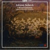 Wind Quintet in F Major, Op. 9 - I. Quasi Presto