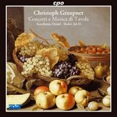 Violin Concerto in A Major, GWV 337 - II. Andante