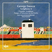 Chamber Symphony in E Major, Op. 33 - II. Allegretto molto moderato