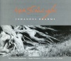 Symphony No. 1 in C Minor, Op. 68: III. Un poco allegretto e grazioso