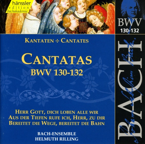 Aus der Tiefen rufe ich, Herr, zu dir, BWV 131: Arioso with Chorale: So du willst, Herr, Sunde zurechnen (Bass)