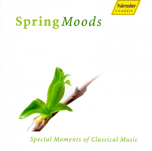 Symphony No. 3 in F Major, Op. 90: III. Poco Allegretto