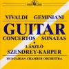 The Art of Playing the Guitar or Cittra: Guitar Sonata in D Major: I. Andante - Canone infinito alla 12
