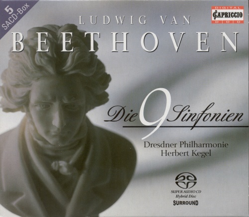 Symphony No. 9 in D Minor, Op. 125 "Choral": IV. Finale: Presto - Allegro assai