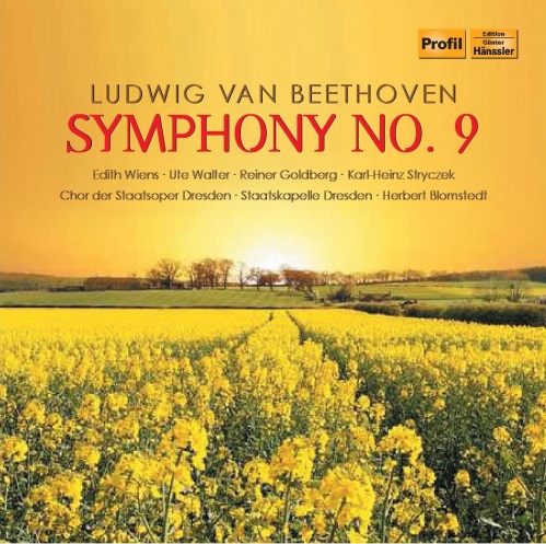 Symphony No. 9 in D Minor, Op. 125: III. Adagio molto e cantabile