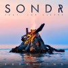 Surviving (feat. Joe Cleere) (Acoustic)