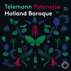 Quartet in B-Flat Major, TWV 43:B3 "Concerto polonoise" (Arr. J. Steenbrink & T. Steenbrink for Strings & Continuo): II. Allegro