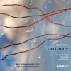 24 Preludes for Cello and Piano, Op. 47: No. 16 in B flat minor: Tempo di valzer