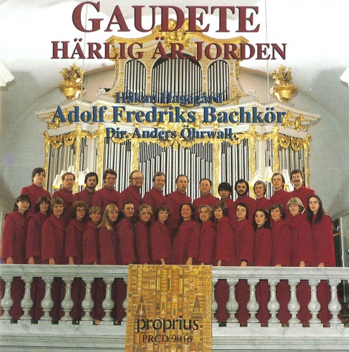 Gaudete - Sinfonia - In dulci jubilo