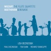 Flute Quartet No. 1 in D Major, K. 285: I. Allegro