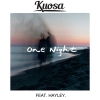 One Night ft. HAYLEY (Instrumental)