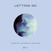 Letting Go (feat. David Shane)