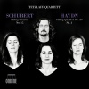 String Quartet No. 15 in G Major, Op. 161, D. 887: I. Allegro molto moderato