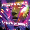 Anthem Of House (Rosabel Club Mix)