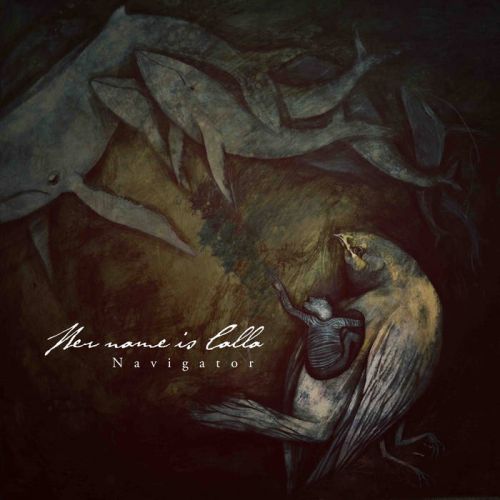 I Was On The Back Of A Nightingale