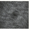 Remip Ear