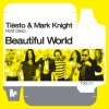 Beautiful World (Original Club Instrumental Mix)