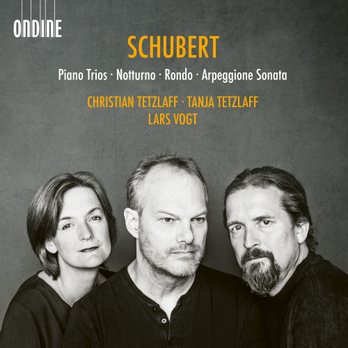 Piano Trio No. 1 in B-Flat Major, Op. 99, D. 898: IV. Rondo. Allegro vivace