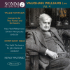 Fantasia on a Theme by Thomas Tallis