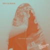 Burning Daylight (Dub Mix)