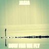 How Far We Fly (Elegy for a Ghost)