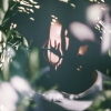 Another Light_Instrumental