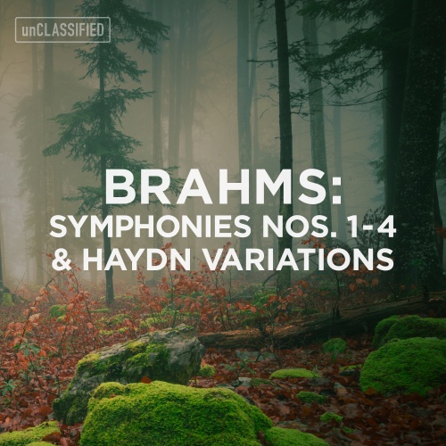 Symphony No. 1 in C Minor, Op. 68: II. Andante sostenuto