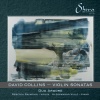 Violin Sonata No. 1: III. Slow, Thoughtful - IV. Leggiero