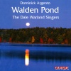 Walden Pond: No. 5. Walden Revisited