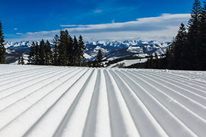 Fresh Tracks
