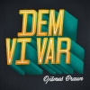 Dem vi var